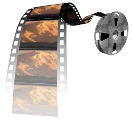 mddm_cine_transfer1